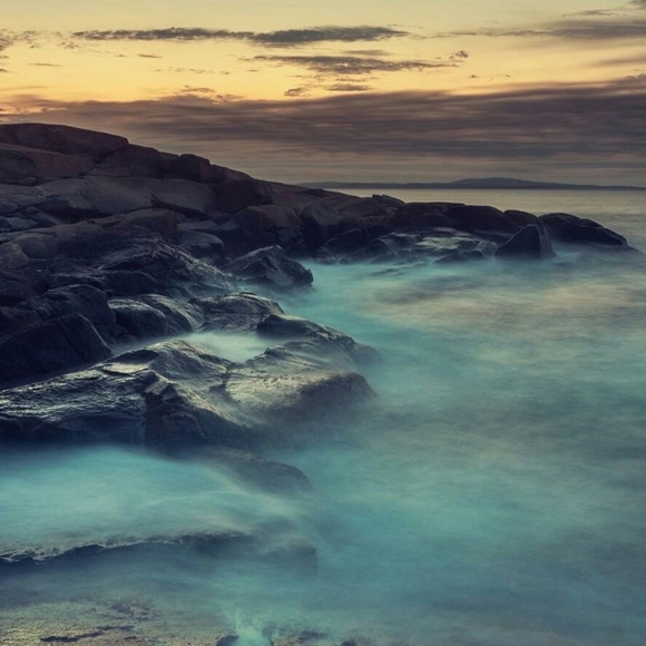 Meet your Posher, Noe! - Picture 3 of 5